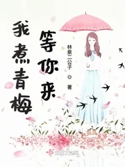 《我煮青梅等你来》小说封面