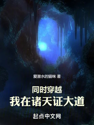 《同时穿越：我在诸天证大道》小说封面