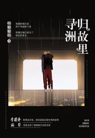 《寻洲归故里》小说封面