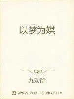 《以梦为媒》小说封面