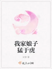 《我家娘子猛于虎》小说封面