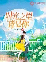《时光之里皆是你》小说封面