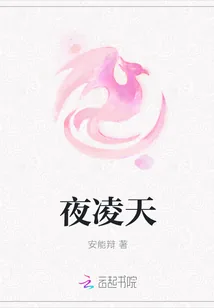 《夜凌天》小说封面