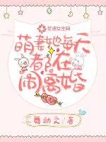 《萌妻她每天都在闹离婚》小说封面