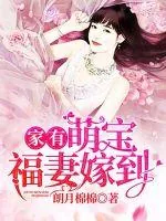《家有萌宝福妻嫁到》小说封面