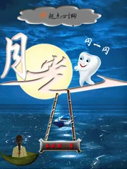 《月光闪一闪》小说封面