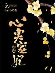 《四爷心尖宠妃》小说封面