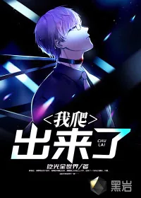 《我爬出来了》小说封面