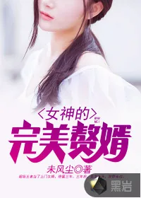 《女神的完美赘婿》小说封面