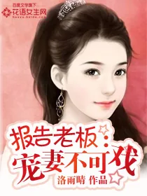 《报告老板：宠妻不可戏》小说封面