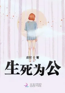 《生死为公》小说封面