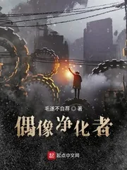 《偶像净化者》小说封面