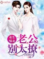《重生喵妻：老公别太撩》小说封面