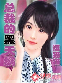 《总裁的黑天鹅》小说封面