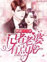 《婚前二三事：记者老婆有点虎》小说封面