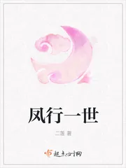 《凤行一世》小说封面