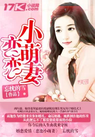 《恋恋小萌妻》小说封面