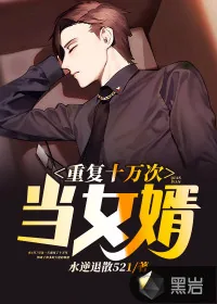 《重复十万次当女婿》小说封面