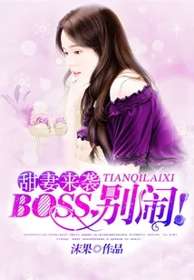 《BOSS别闹》小说封面