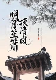 《明月笙箫挽清风》小说封面