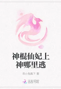 《神棍仙妃上神哪里逃》小说封面