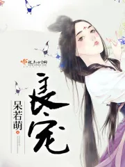 《良宠》小说封面