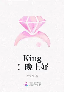《King！晚上好》小说封面