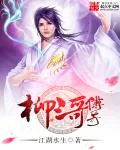《柳三哥传奇》小说封面