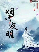 《烟雪夜明》小说封面