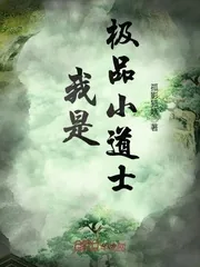 《我是极品小道士》小说封面