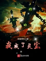 《我成了灵宝》小说封面