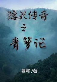 《隐天传奇之青箩记》小说封面