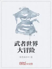 《武者世界大冒险》小说封面