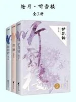 《听雪楼(全3册)》小说封面