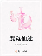 《鹿觅仙途》小说封面