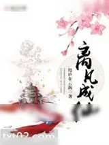《离凡成仙》小说封面
