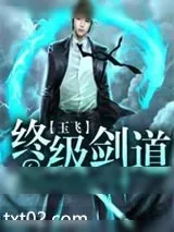 《终极剑道》小说封面