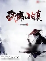 《武侠小镇》小说封面