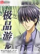 《极品游龙》小说封面