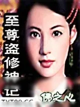 《至尊盗修神记》小说封面
