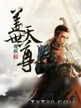 《盖世天尊》小说封面