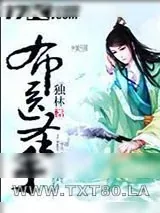 《布医圣手》小说封面