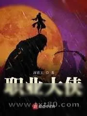 《职业大侠》小说封面
