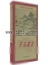 《天马霜衣》小说封面