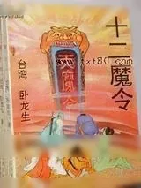 《十二魔令》小说封面