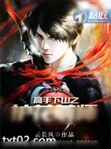 《高手下山之护花尊师》小说封面