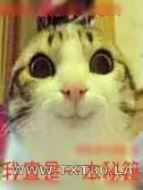《我真是一本秘籍》小说封面