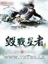 《毁战星者》小说封面