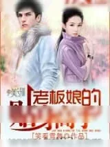 《老板娘的贴身高手》小说封面