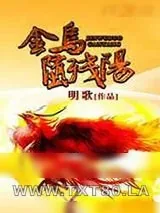《金乌堕残阳》小说封面